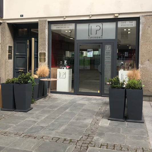 Maison Lapeyronie®, notre identité, nos valeurs