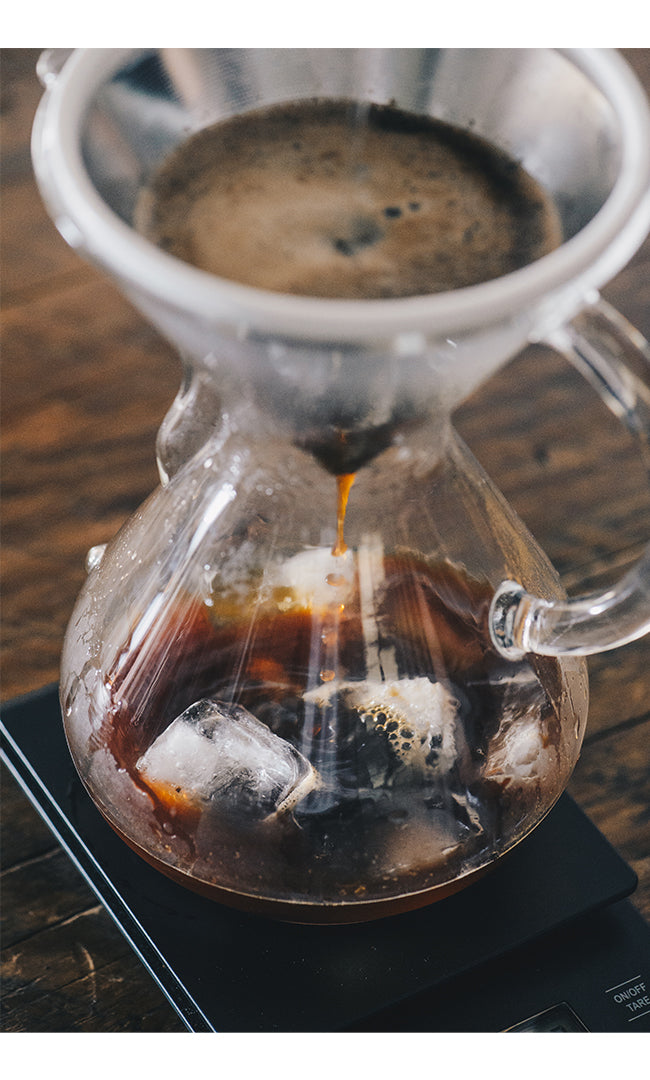 CHEMEX - Cafetière avec poignée - 8 Tasses