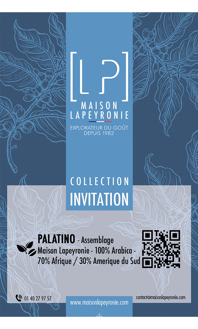 PALATINO - Assemblage