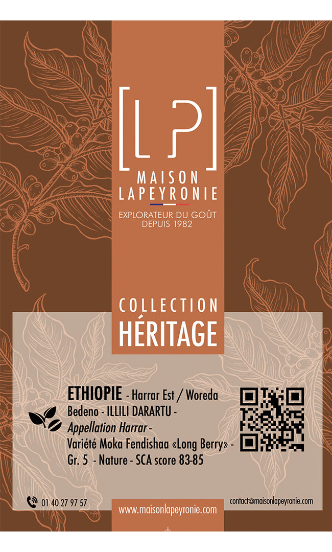 ÉTHIOPIE, Illili Darartu - Appellation Harrar - Grand Cru