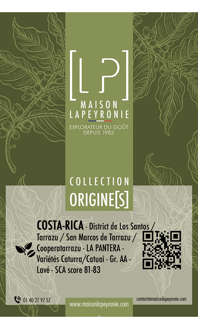 COSTA-RICA, La Pantera - Appellation Tarrazu - PURE ORIGINE
