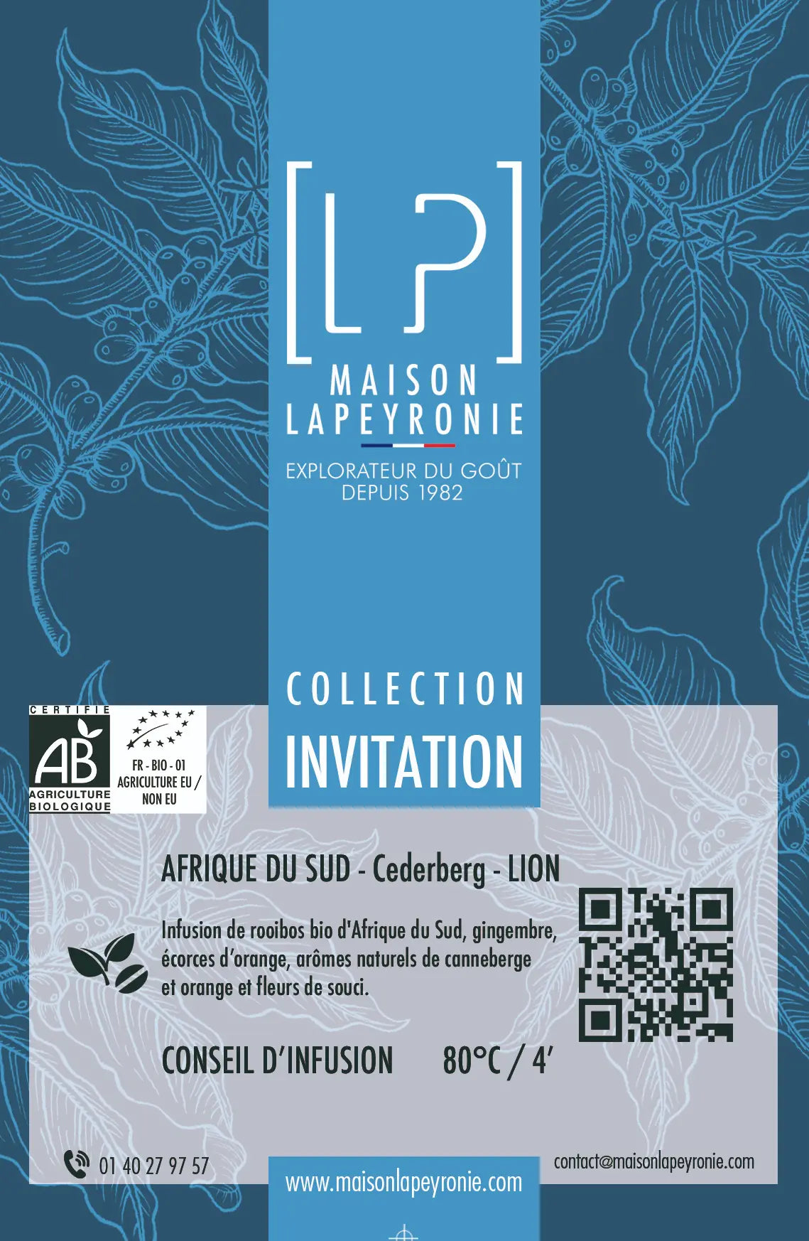 LION - Rooibos Orange Canneberge Gingembre - Assemblage BIO