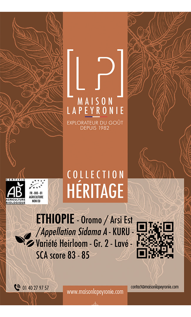 ÉTHIOPIE, Kuru - Appellation Sidama - Grand Cru BIO