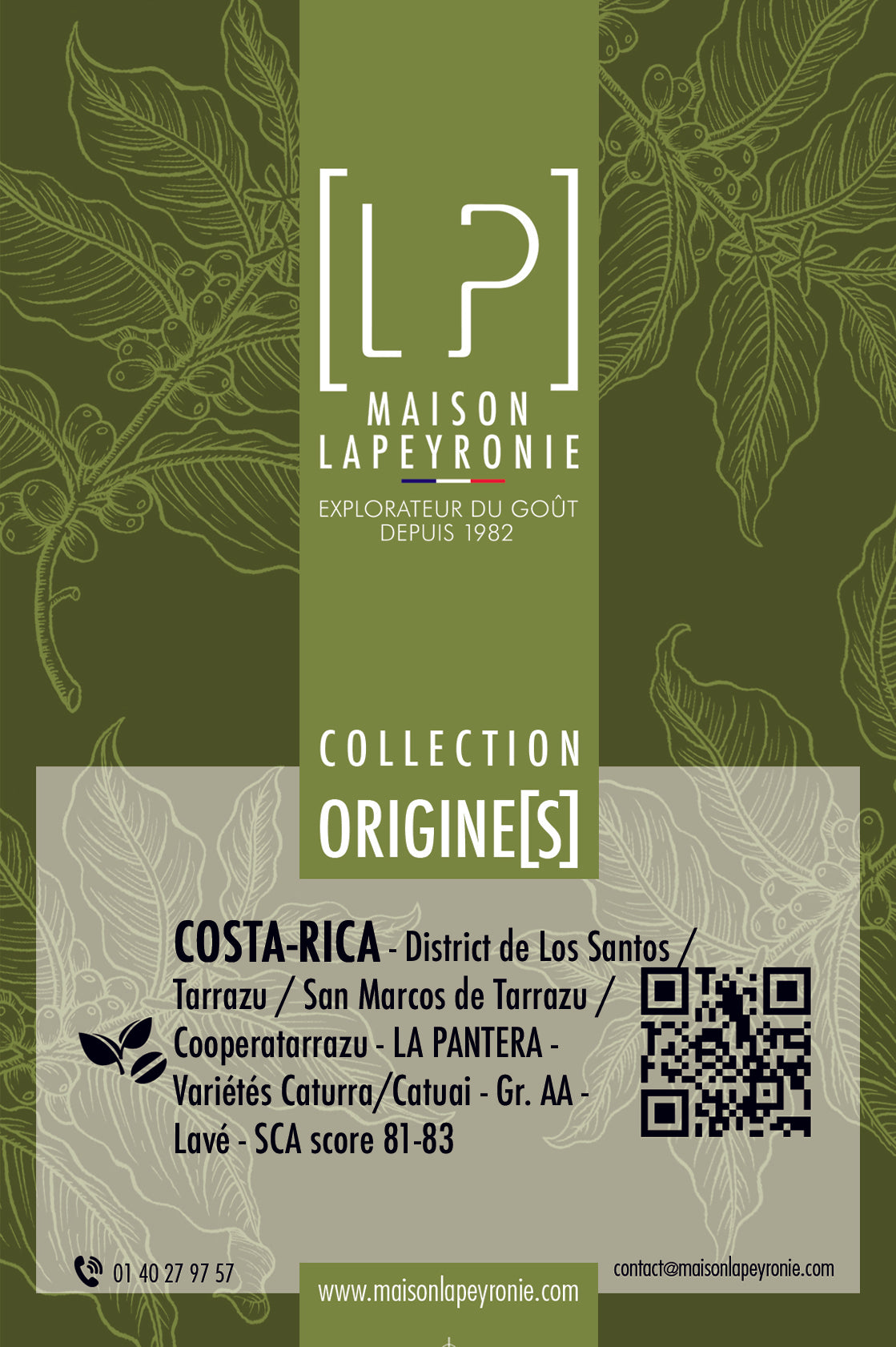 // CAFÉ DU MOIS // COSTA-RICA, La Pantera - Appellation Tarrazu - PURE ORIGINE