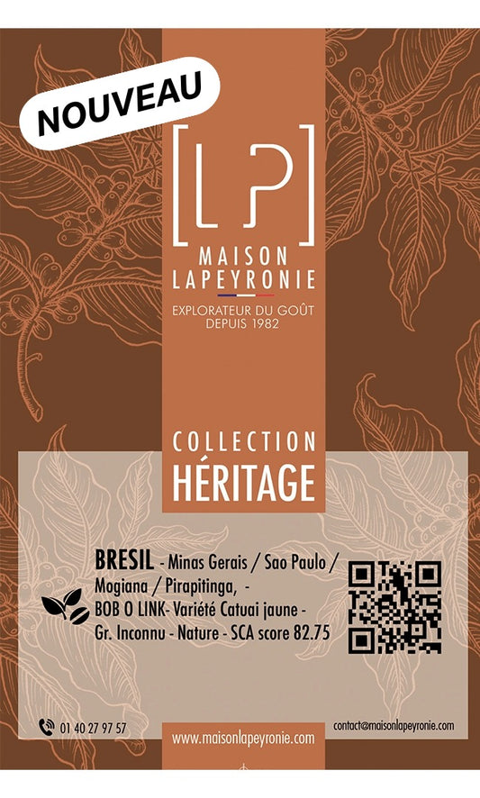 BRÉSIL, Bob O Link - Yellow - Grand Cru