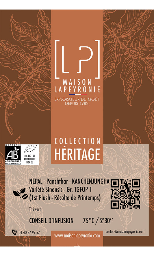 NÉPAL - Kanchenjungha - TGFOP1 - Thé vert - Grand Cru BIO