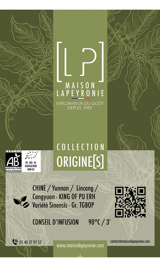 CHINE - King of Pu Erh - TGBOP - Thé sombre fermenté - Pure Origine BIO