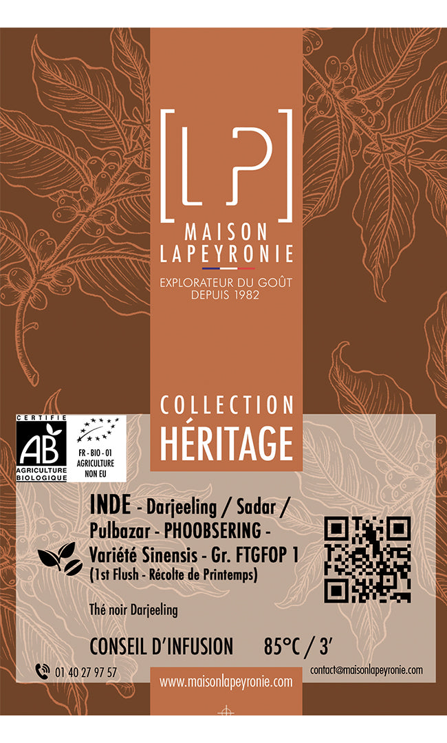 INDE - Phoobsering - Appellation Darjeeling - FF FTGFOP1 - Thé noir - Grand Cru BIO