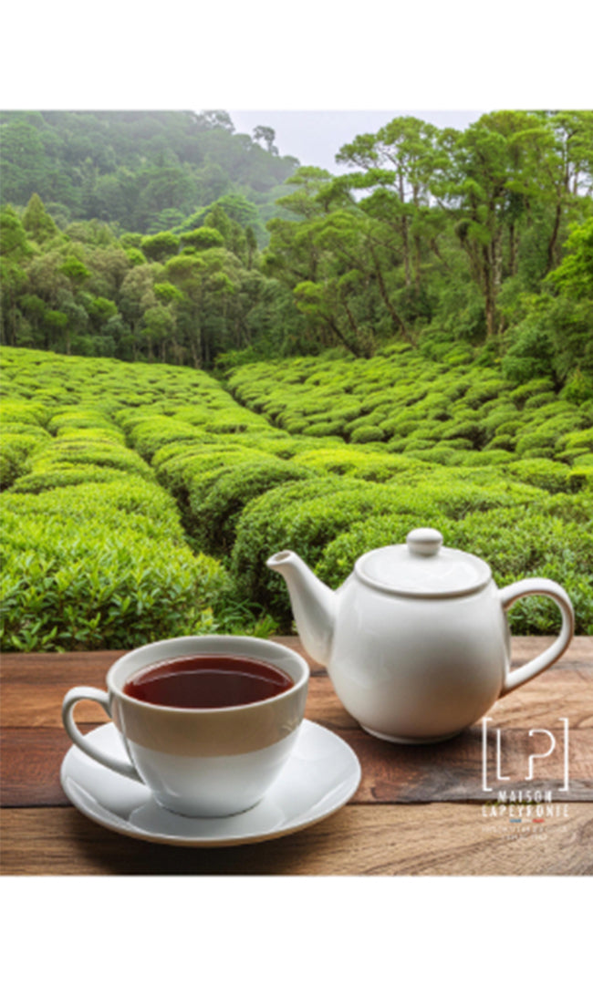 EARL GREY - TGBOP - Thé vert bergamote - Assemblage BIO
